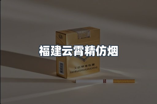 福建云霄精仿烟